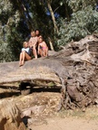 alice_springs_248.jpg