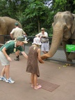 australia_zoo_102.jpg