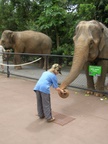 australia_zoo_108.jpg