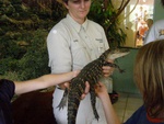 australia_zoo_231.jpg