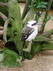 australia_zoo_258.jpg