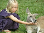 australia_zoo_362.jpg