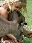 australia_zoo_378.jpg