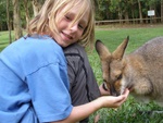australia_zoo_380.jpg