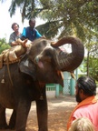 elephant giving money to his master!