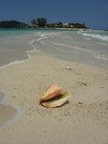 edge of the island